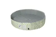 Pawz 160cm Foldable Pet Pool - Avocado