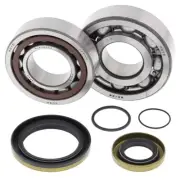 All Balls Crankshaft Bearing / Seal Kit Gas | 24-1115