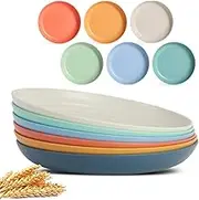 iDopick 6 Pack Unbreakable Deep Dinner Plates, 9 Inch Wheat Straw Plastic Plates Lightweight Microwave and Dishwasher Safe Kitchen Healthy Plates Easy to Clean & Reusable ﻿