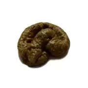 DOG POOP - Funny Classic GaG Prank Joke Child Toy Tool Gags X1 & Tricks