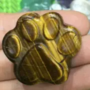 TOP Natural Tiger's eye quartz devil's-claw hand carved reiki Healing 1PC