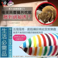 在飛比找蝦皮購物優惠-【油購網】台灣製造 YCB 防蹣 抗菌彩虹枕 枕頭 抱枕 全