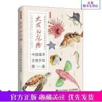 在飛比找露天拍賣優惠-大海的禮物中國海洋生物手繪圖鑑100幅海洋生物手繪海洋大百科