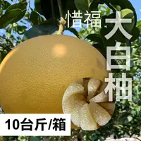在飛比找台灣好農優惠-【明佑好柚園】惜福大白柚(10斤/箱)(約4-7顆)