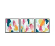 Colourful 3 Sets Black Frame Canvas Wall Art