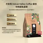【歐客佬】巴拿馬 VOLCAN VALLEY 藝伎 特殊厭氧處理 咖啡豆 (半磅) 淺烘焙《買2送1》