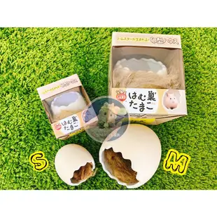 小恐龍阿圈與鼠妹妹的寄宿窩—倉鼠整理箱改造。日本MARUKAN 鼠鼠蛋蛋窩 陶瓷窩 倉鼠窩 睡窩