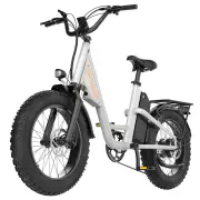 [EU Direct] EKXBIKE L1 Electric Bike 48V 15.6AH Battery 1000W Motor 20inches Tires 60-80KM Max Mileage 150KG Max Load El