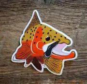 CUTTHROAT TROUT Sticker Decal fly fishing Kype 4" x 4 1/2" glossy weather proof