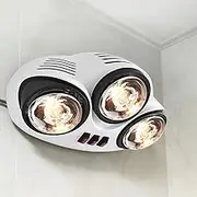 Wall-Mounted Bathroom Electric Heater2210W Bathroom Heat Lamp Wall-Mounted Explosion-Proof Home Heating Light IPX2 Waterproof Switch Heat Lighting for Winter Bedroom Office