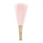 20pcs Dried Faux Pampas Grass 21" Artificial Pampas Grass Decor Light Pink