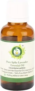 R V Essential Pure Spike Lavender Essential Oil 5ml (0.169oz)- Lavandula Latifolia (100% Pure and Natural Steam Distilled)