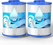 ROYOR PAS50SV Hot Tub Filter - Compatible with Excel Filters XLS-604 Artesian Spa Filters, Hot Tub Filter Replacement for Filbur FC-0311, 6CH-502, PAS50sv-F2M, 50 Sq.ft Artesian Spa Filter, 2 Pack