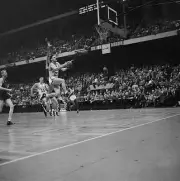 Boston Celtics Basketball Photo 1957 Bill Sharman Jumping