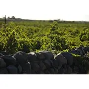Save 18.00%! Santorini Private 10 Wine Tastings with Dinner & Oia Sunset