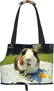 Guinea Pig Pet Portable Foldable Shoulder Bag, Dog and Cat Carrying Bag, Suitable for Subway Shopping, Etc.