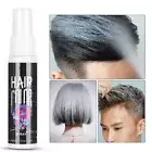 (White)Unisex DIY Hair Color Spray Dye Mist Disposable Nourishing Temporary NOW