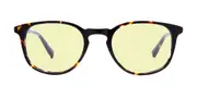 Lane - Maple Tortoise