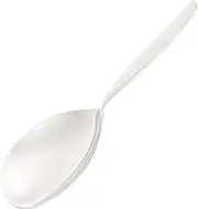 TMG supply stainless large server spoon Anana LSC1401