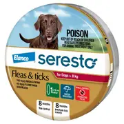 Seresto Flea & Tick Collar for Dogs Over 8kg - Up to 8 Month Protection