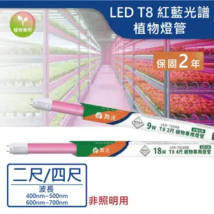 【舞光.LED】LED T8/2尺/4尺紅藍光譜 植物燈管 促進開花上色【實體門市保固兩年】T8燈管 LED燈管 植物燈