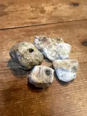 Natural Ohio Rocks - Stunning Fossilized Flint Stones and Large Hag Stone