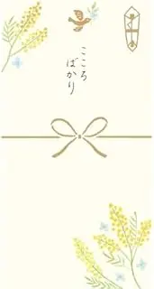 Furukawa Paper VJK9 Festival Bag, Neat Bag, Mimosa