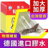 在飛比找蝦皮購物優惠-🦏犀牛牌🦏 【臺灣現貨】買十送一  進口膠水 粘鼠貼 滅鼠 