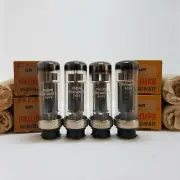 4X 4699 EL6spez Philips Miniwatt metal base,disc getter,mid 50s NOS NIB, rare
