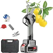 qwmvhfg， Electric Tree Trimmer with Gloves and Toolbox, Electric Brushless Scissors for Gardening Hedge Branch Flowers 21V 2.0AH,1-battery