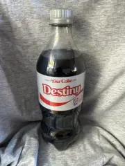 Share A Coke with Destiny 2025 Personalized Gift Coca Cola Bottle 20oz Diet Coke