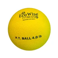 在飛比找蝦皮商城優惠-美國【EcoWise】重力球 藥球 物理治療球 4磅 2kg