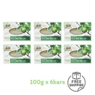 Abhaibhubejhr Guava leaves extract herbal soap bath body Organic Natural 100g