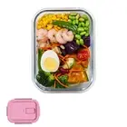 Multi-Grid Glass Lunch Box Meal Prep Containers Glass Food Storage Containers wi