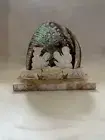 bethlehem hand made Unique Egg-Shaped Abalone Shell Nativity Scene holy land