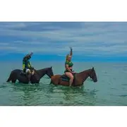 Save 20.00%! HORSEBACK Ride Bamboo Rafting & DUNN’S RIVER FALLS Day Tour