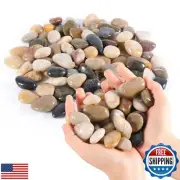 River Rocks Decorative Pebbles - 10lb Mixed Color Polished Gravel for Garden