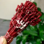 10GNatural Deep Red Coral Reef Cluster Marine Mineral Crystal Specimen
