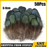 50pcs Lady Amherst Natural Green Pheasant Feathers DIY Craft Millinery Jewellery