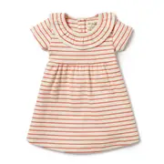 Wilson and Frenchy Organic Stripe Ruffle Dress Petit Rouge