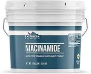 Earthborn Elements Niacinamide 1 Gallon, Flush Free Vitamin B3, Supplement Powder