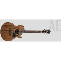 在飛比找蝦皮購物優惠-【名人樂器】IBANEZ 陸廠 AE245 NT ST