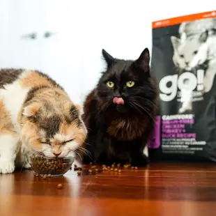 【Go!】四種肉3磅 貓咪高肉量系列 低碳水無穀天然糧(貓糧 低碳水 全齡貓 挑嘴 貓飼料 寵物食品)