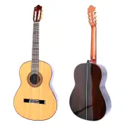 Special Quality Microtonal Classical Guitar String Musical Instrument KG