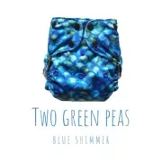 OSFM - Modern Cloth Nappy Two Green Peas