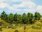 Noch 24600 Deciduous Trees (Set of 8)