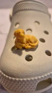 Labrador Dog Croc Jibbitz Shoe Charm x 2 Any colour you want