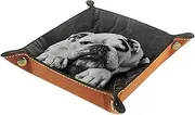 Valet Tray,Storage Box Desk Tray for Storage of Small Accessories,4.5x1.18 in,Dog Sofa Cute Pet