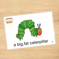 在飛比找蝦皮購物優惠-好餓的毛毛蟲theveryhungrycaterpillar