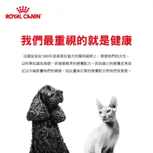 法國皇家 ROYAL CANIN 貓用 RSF26 腎臟嗜口性配方 4KG 處方 貓飼料